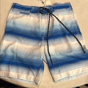 Surfside Supply Blue and White Board Shorts with Gradient Stripes